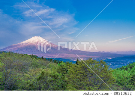 (Yamanashi Prefecture) Mt. Fuji covered with snow from the fresh green 20th song pass 89513632