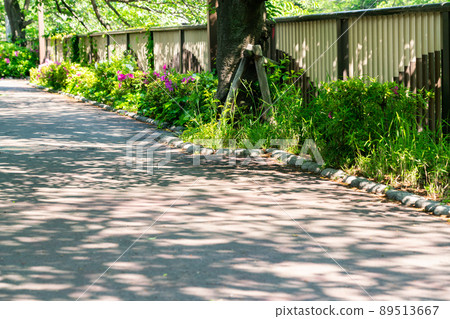 春天，沿著綠意盎然的目黑川 89513667