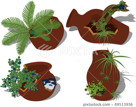 Potted plants collection, plants in cracked broken pots vector illustration Potted plants collection, plants in cracked broken pots vector illustration 89513936