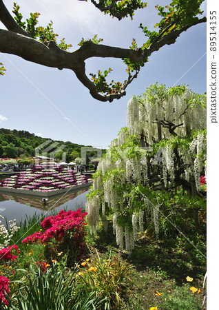 Ashikaga Flower Park Ashikaga Flower Park 89514155