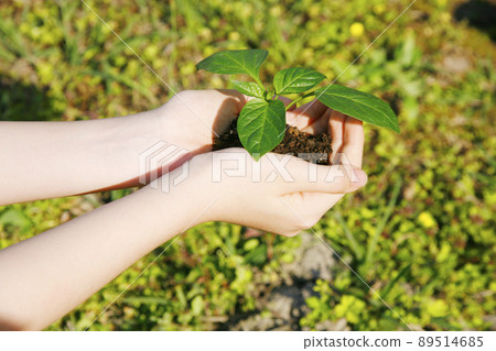 生態可持續環境技術 SDGs 圖片 89514685