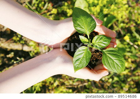 生態可持續環境技術 SDGs 圖片 89514686
