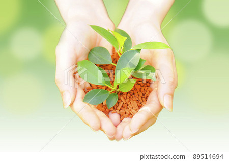 Ecology Sustainable Environmental Technology SDGs Image 89514694