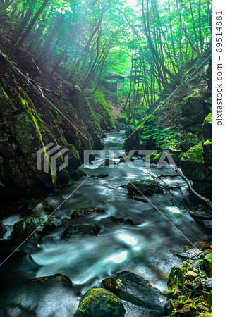 [Nagano Prefecture, Suguri Valley] Refresh in a quiet valley July August 89514881