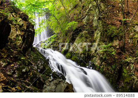 [Nagano Prefecture, Suguri Valley] Refresh in a quiet valley July August 89514888