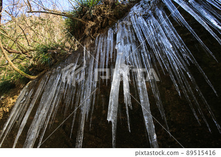 Toon City, Ehime Prefecture Winter Katsura River Valley 89515416