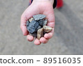 一塊滿是孩子手的石頭 89516035