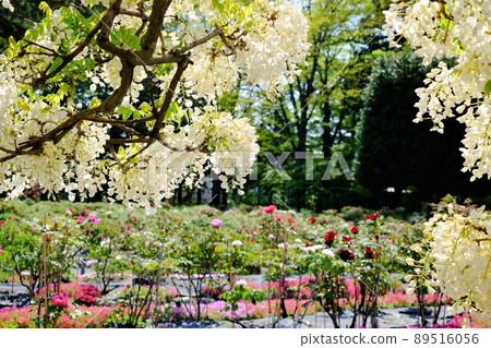 Fuji and peony 89516056