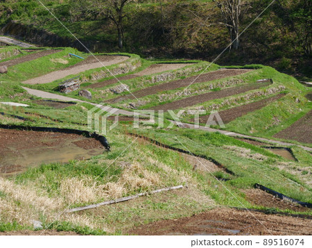 Rice terraces in Inagura 89516074