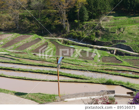 Rice terraces in Inagura 89516075