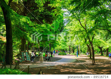 吉祥寺假日井之頭公園 吉祥寺假日井之頭公園 89516714