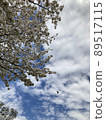 sky, cloud, clouds 89517115