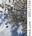 spring, botanic, botanical 89517394