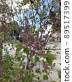 Lilac 89517399