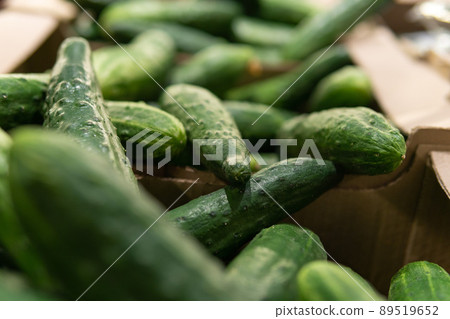 fresh cucumbers on the counter in the supermarket fresh cucumbers on the counter in the supermarket 89519652