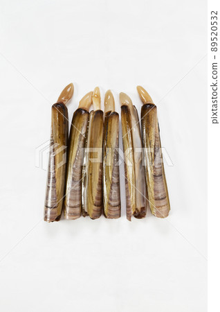 Grooved razor shell on white background 89520532