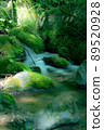 Selected 100 Exquisite and Water 89520928