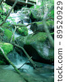 Selected 100 Exquisite and Water 89520929