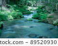 Selected 100 Exquisite and Water 89520930