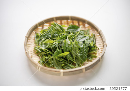 New tea of Yabukita tea, which is synonymous with Japanese tea New tea of Yabukita tea, which is synonymous with Japanese tea 89521777
