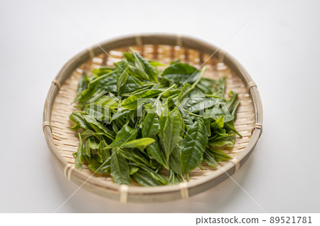 藪北茶的新茶，是日本茶的代名詞 89521781