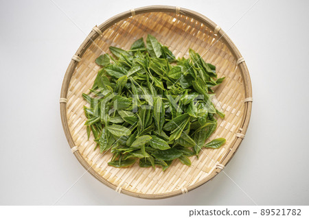 藪北茶的新茶，是日本茶的代名詞 89521782