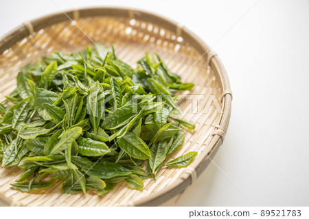 藪北茶的新茶，是日本茶的代名詞 89521783