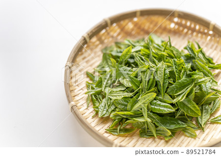 藪北茶的新茶,是日本茶的代名詞 藪北茶的新茶,是日本茶的代名詞 89521784