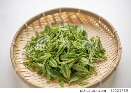 藪北茶的新茶，是日本茶的代名詞 89521789