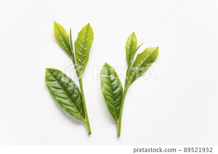 How to pick new tea Ichiko Mitsuha 89521932