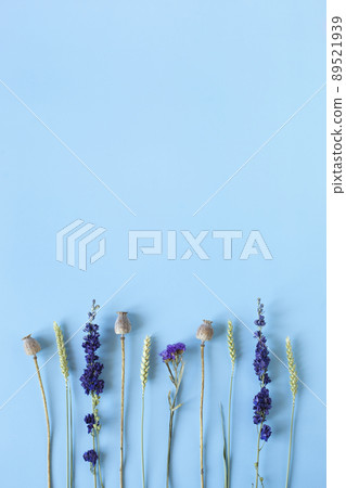 Wildflowers over the light blue background, top view, copy space Wildflowers over the light blue background, top view, copy space 89521939
