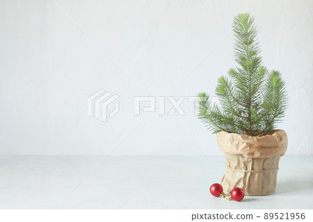 Mini Christmas tree on the white wall background 89521956