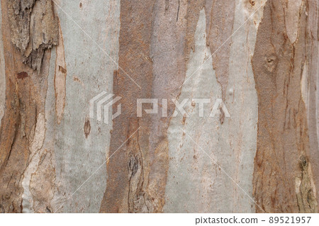 Natural brown wooden tree trunk background closeup Natural brown wooden tree trunk background closeup 89521957