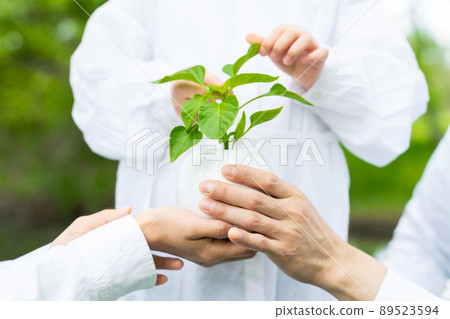 Family watching over plants Environmental protection image Sustainable SDGs Family watching over plants Environmental protection image Sustainable SDGs 89523594