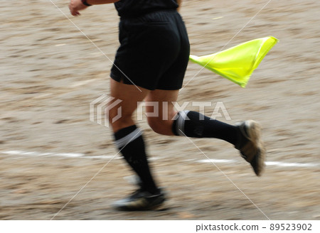 Summer Grand Referee 5 89523902