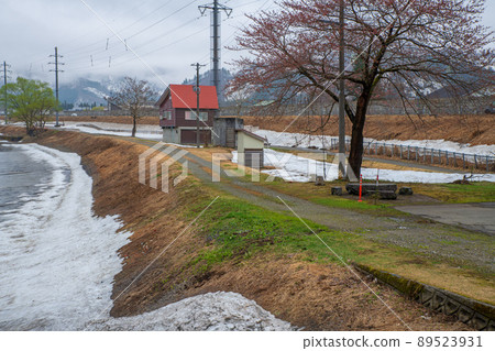 Snow-melting Uonogawa riverbed, view from Shinbenbashi, near Yuzawa IC on the Kan-Etsu Expressway, remaining snow, early spring scenery Snow-melting Uonogawa riverbed, view from Shinbenbashi, near Yuzawa IC on the Kan-Etsu Expressway, remaining snow, early spring scenery 89523931