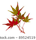 Maple leaves, autumn image of autumn leaves, transparent background 89524519