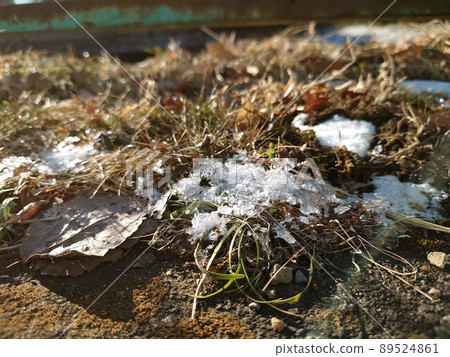 Grass and snow 89524861