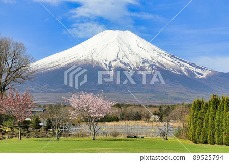 Mt. Fuji from Yamanakako Hananomiyako Park (Yamanashi Prefecture) 89525794