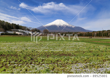 從山中湖花之宮公園（山梨縣）出發的富士山 89525801