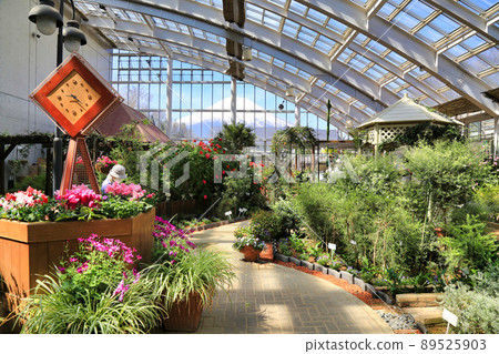 山中湖花之宮湖公園(山梨縣) 山中湖花之宮湖公園(山梨縣) 89525903