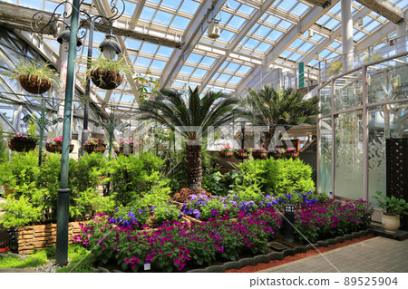 山中湖花之宮湖公園（山梨縣） 89525904