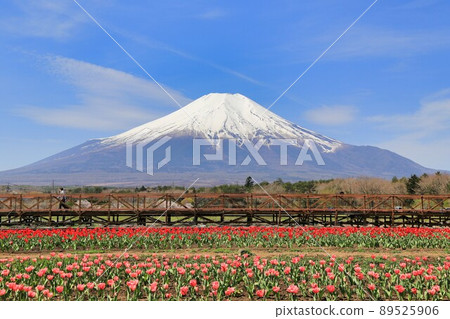 從山中湖花之宮公園（山梨縣）出發的富士山 89525906