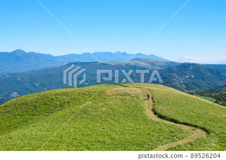 Shinshu Venus Line / Mt. Mitsumine trekking (view toward Yatsugatake) 89526204