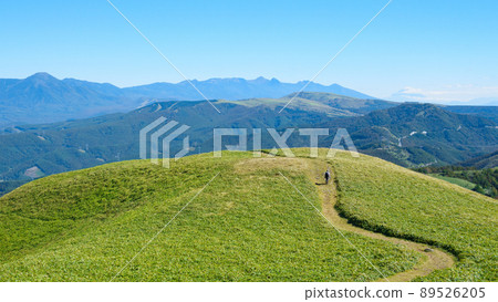 信州金星線/三峰山徒步(眺望八岳) 信州金星線/三峰山徒步(眺望八岳) 89526205