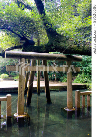 鹿島神社 89526586