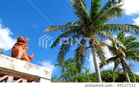 Palm Trees and Shisa Marine Expo Park Emerald Beach 89527132