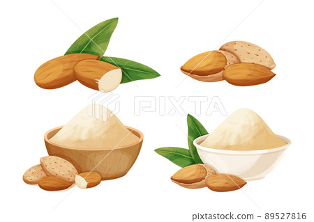 Set almond in nutshell with leaves detailed raw nut, almond powder in bowl organic product, ingredient in cartoon style isolated on white background. Ripe plant, snack. 89527816