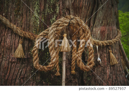 Osugi in Tsugise, Nagano Prefecture 89527937