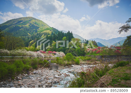 Hanamomo no Sato, Achi Village, Nagano Prefecture 89528009